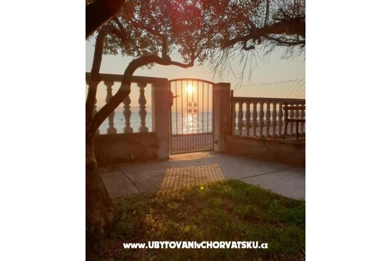 Apartments Anđela – photo 16