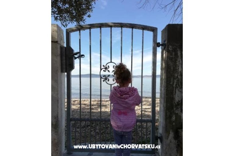 Apartments Anđela – photo 17