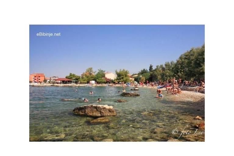 Apartments Anđela – photo 8