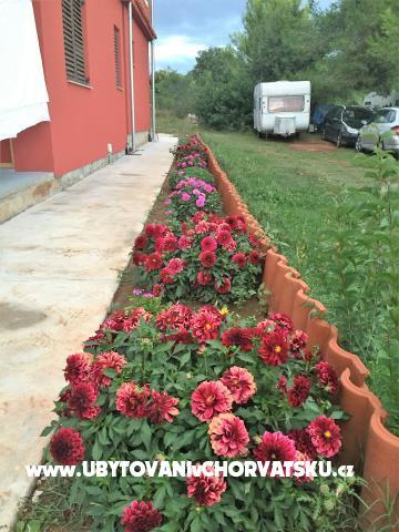 Apartments Gabrijel – photo 3