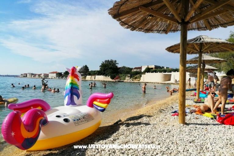 Apartments Karin – photo 8