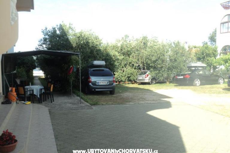 Apartments  Maslina – photo 6