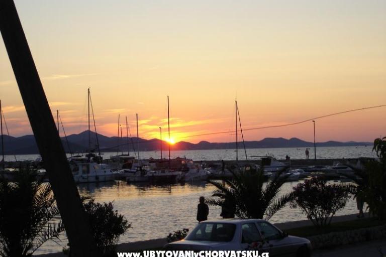 Apartments Roko  – photo 8
