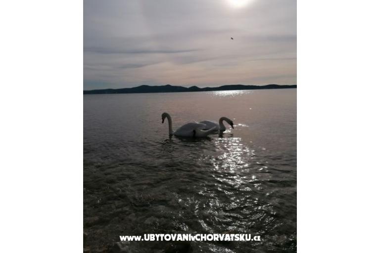 Apartments Vinko – photo 13