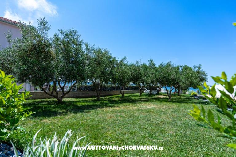 Apartments Vinko – photo 4