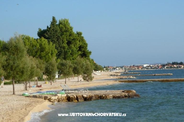 Bibinje Apartments – photo 4