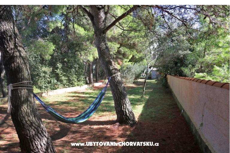 Casa Nostra – photo 6