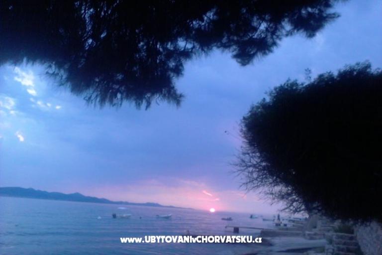 Villa Ivan – photo 15