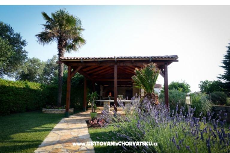 Villa Nina – photo 9