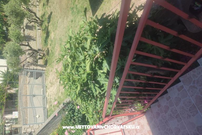 Apartment Cvita – photo 5