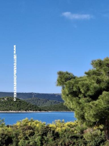Villa D&J – photo 7