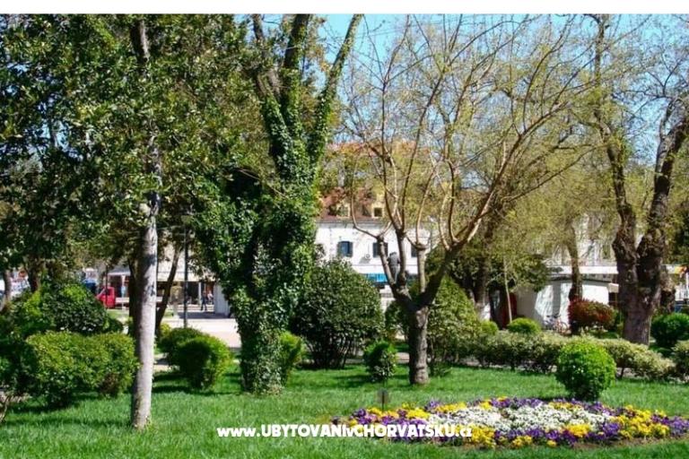 Apartments Endi – photo 11
