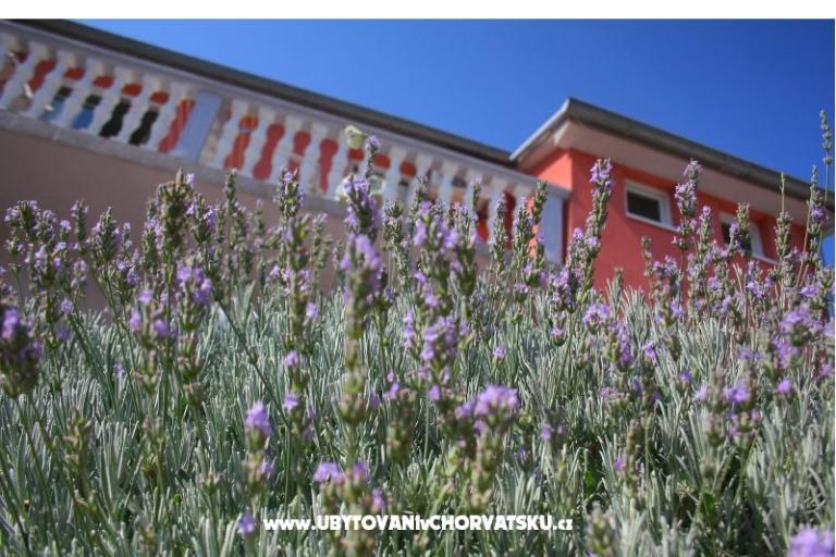 Apartmenty Kus – photo 14