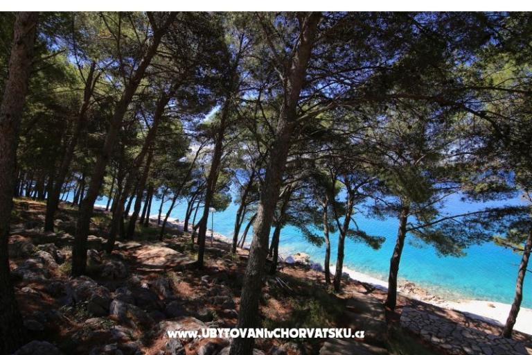 Apartments Lea – photo 10