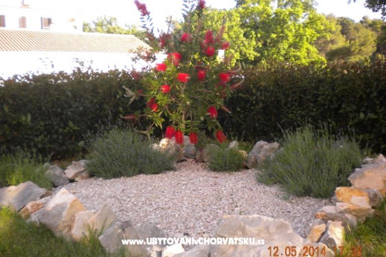 Apartments M&M – photo 10