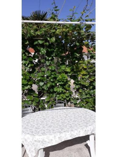 Apartments Margarita – photo 15