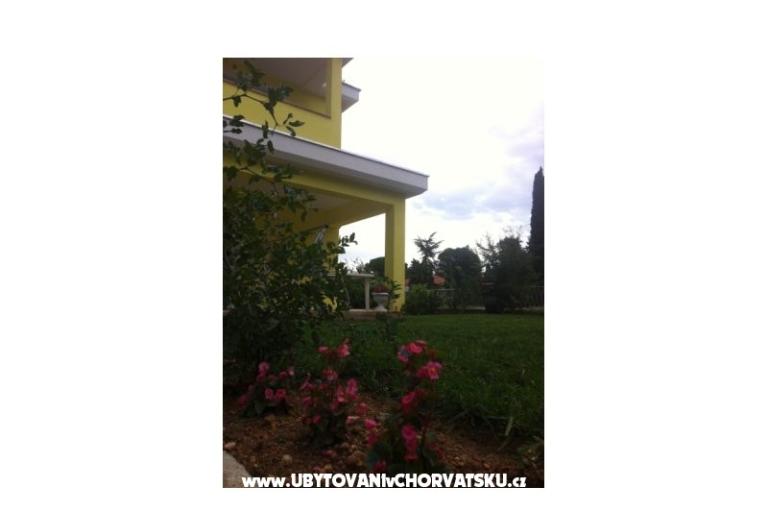 Apartments Niko – photo 7