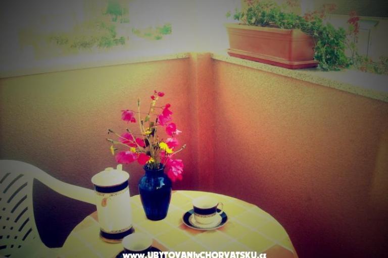 Apartments Mimoza – photo 6