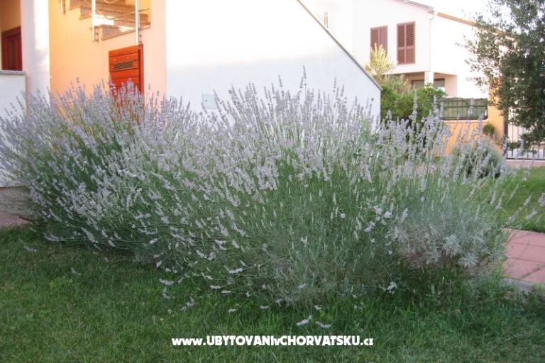 Apartments Blandona – photo 7