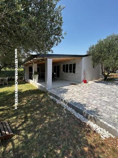 Primorje – photo 2