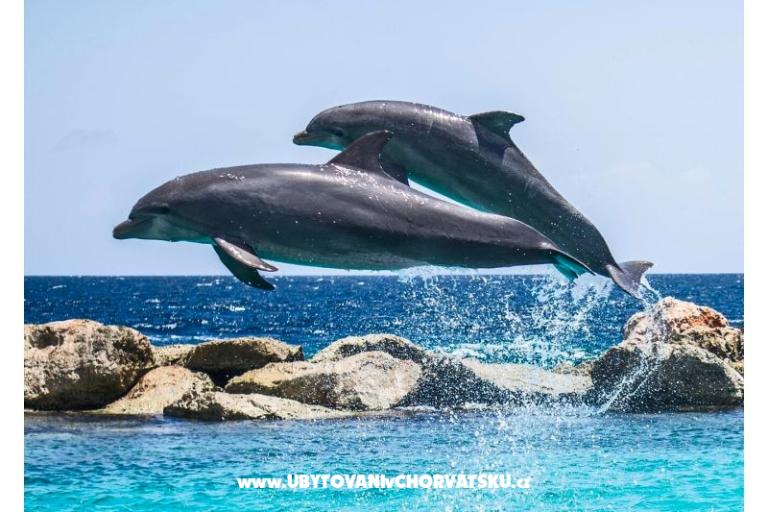 Royal R mobile home – photo 41