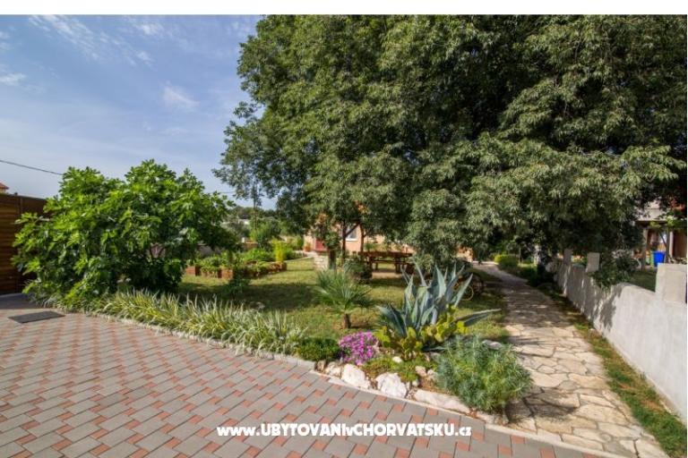 Studio apartmani Petra – photo 4