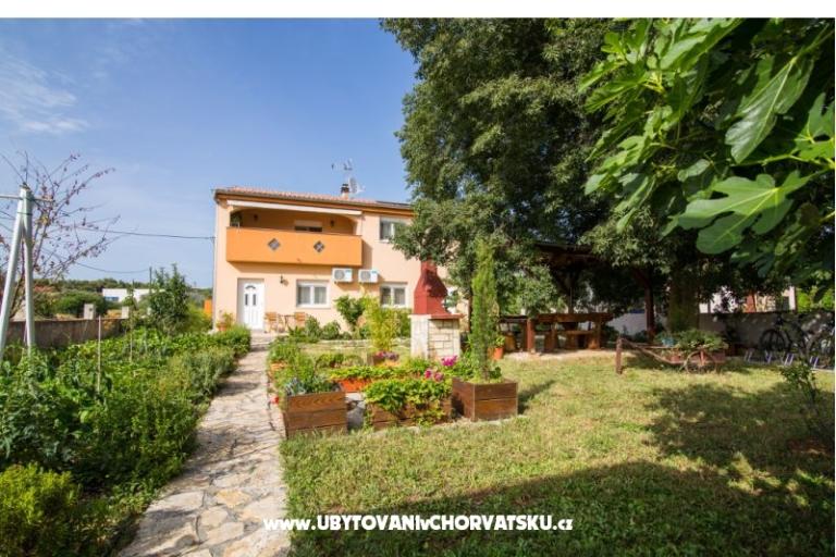 Studio apartmani Petra – photo 5