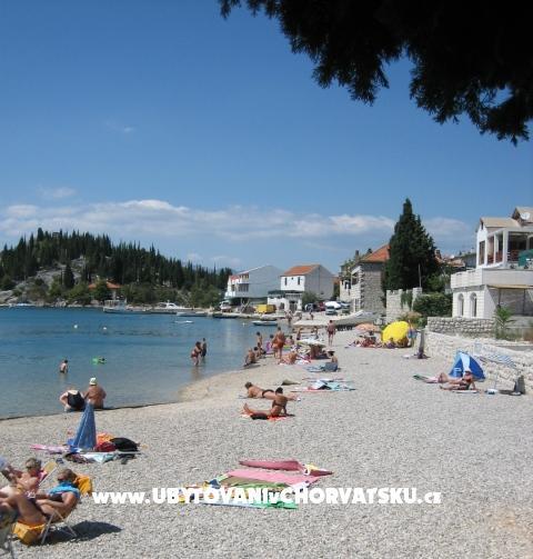 Apartments Vodanovic – photo 7