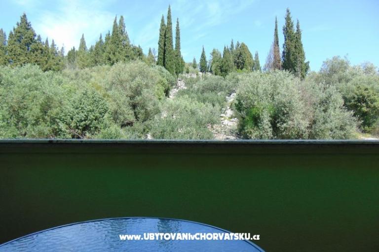 Apartments 7+ – photo 11