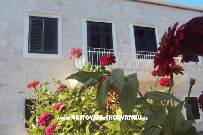 Apartments  Petar – photo 3