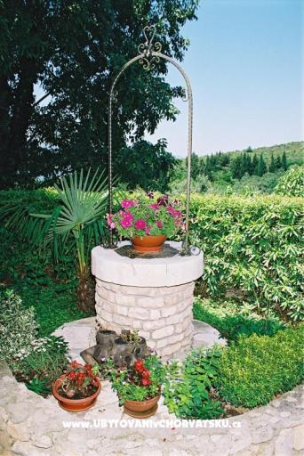 House Pipinic – photo 4