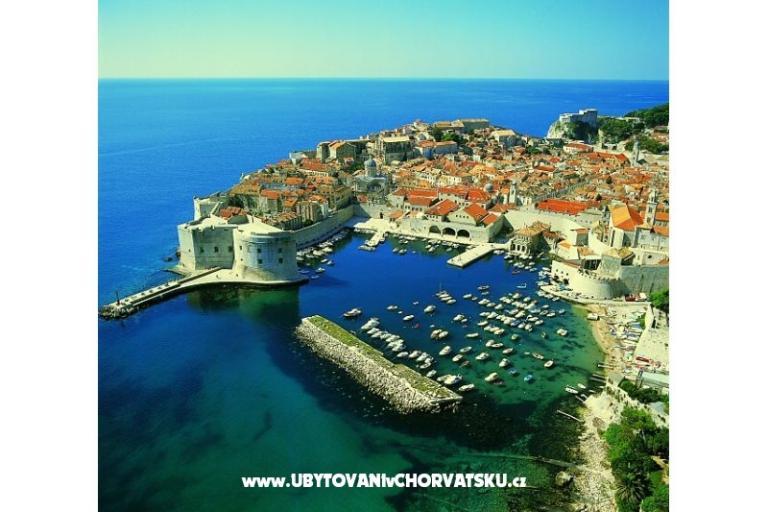 Villa Delta – photo 17