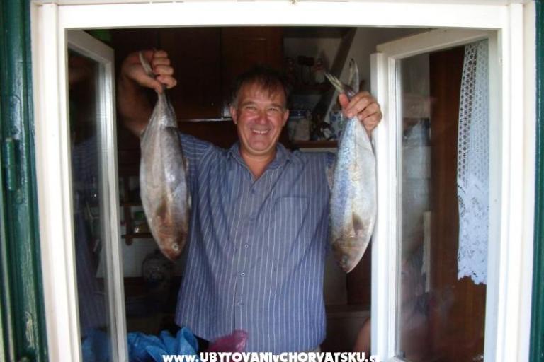 Agro Turizam Bačić – photo 8