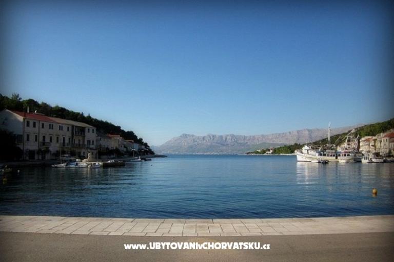 Apartment Srdjana – photo 13