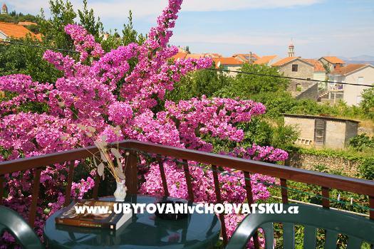 Apartment Vladimir *** – photo 6