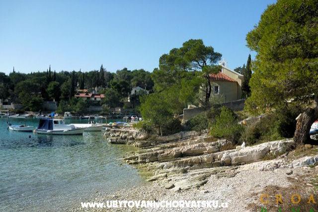 Apartments Kunac – photo 7