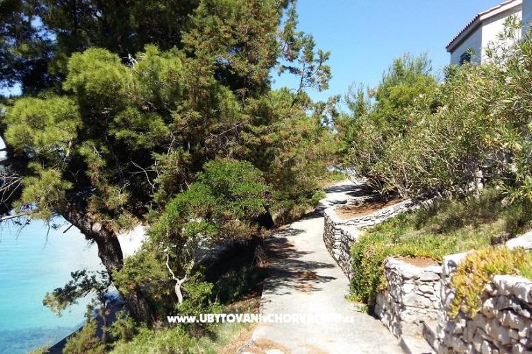 Apartments Sv. Ana – photo 4