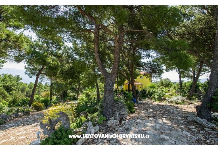 Apartments Chiaro – photo 10