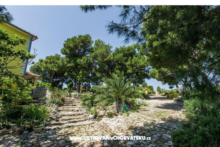 Apartments Chiaro – photo 11