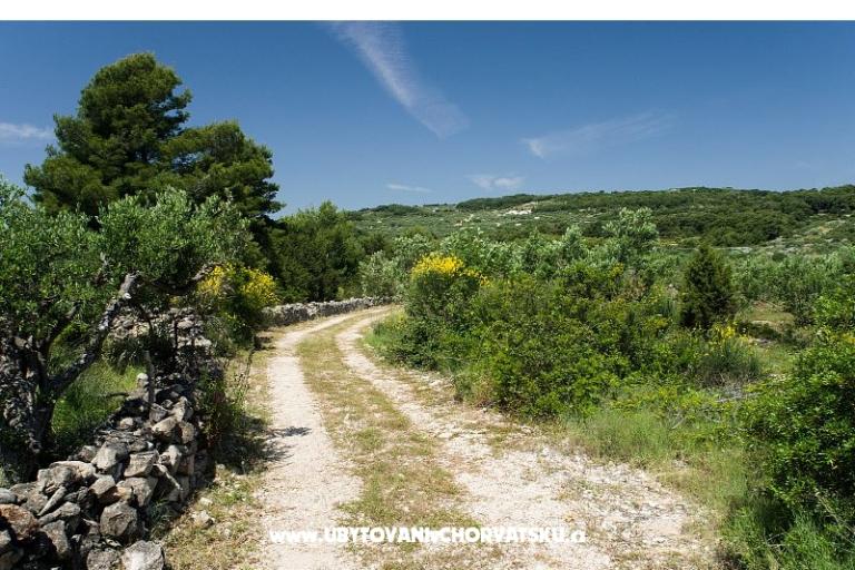 Apartments Chiaro – photo 14