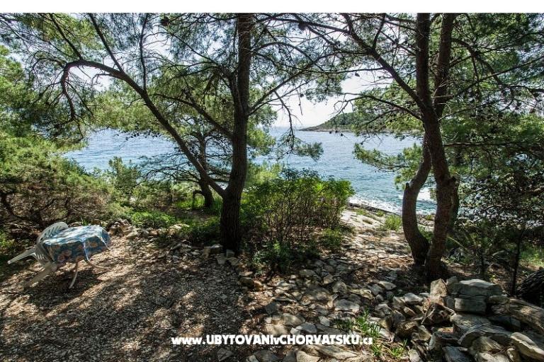 Apartments Chiaro – photo 6