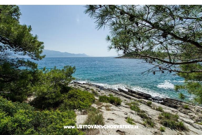 Apartments Chiaro – photo 7