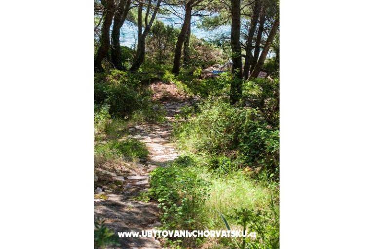 Apartments Chiaro – photo 8