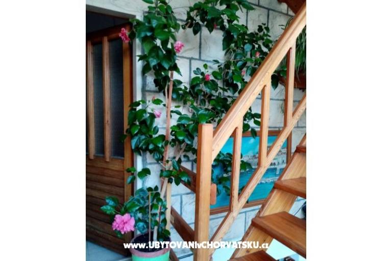 House Ankica – photo 13