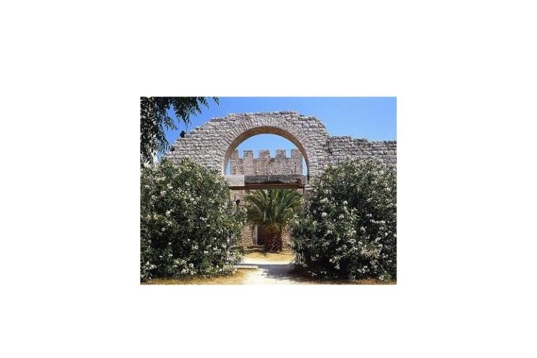 House Ankica – photo 17