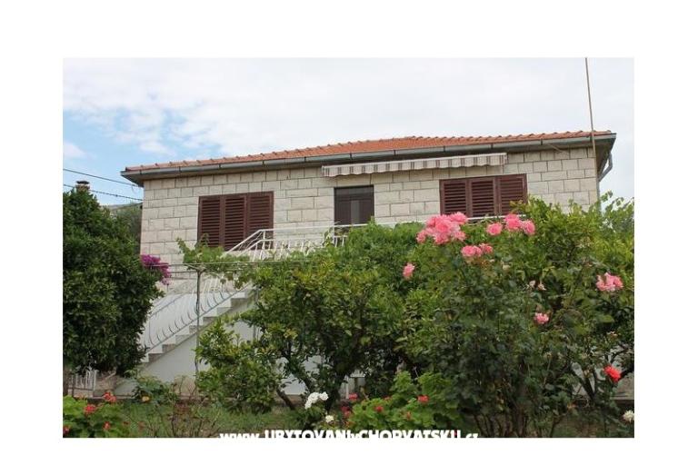 House Bongovila – photo 4