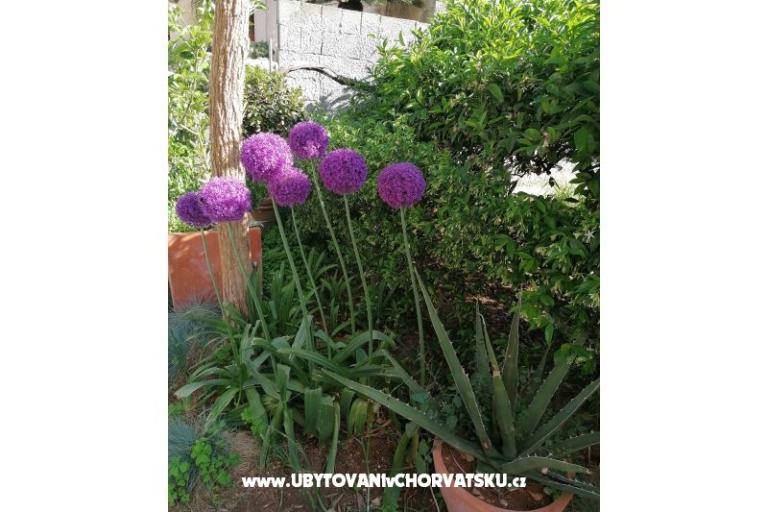 Apartments Vesna – photo 23