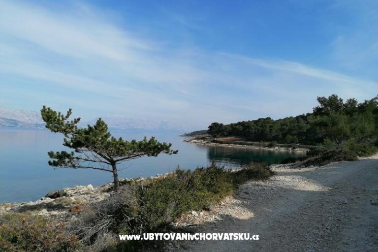 Apartments Vesna – photo 24