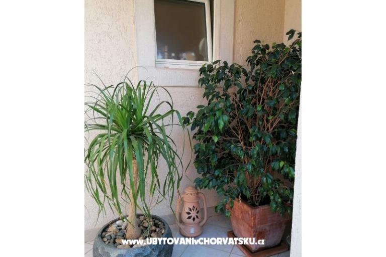 Apartments Vesna – photo 34