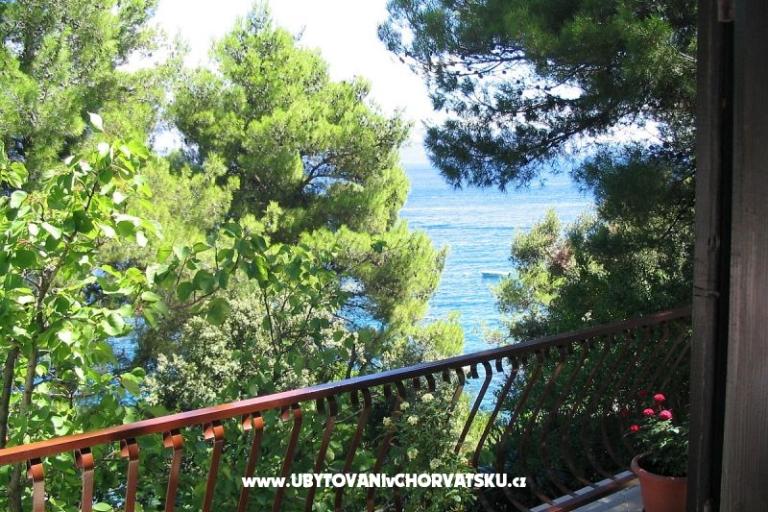 Sea House – photo 16